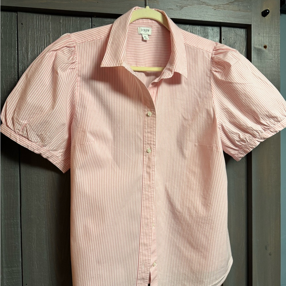 J. Crew Pink and White Striped Shirt